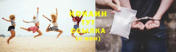 гашик Михайловск