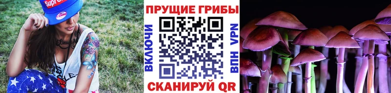 как найти   Новотроицк  блэк спрут ссылка  Галлюциногенные грибы мицелий 
