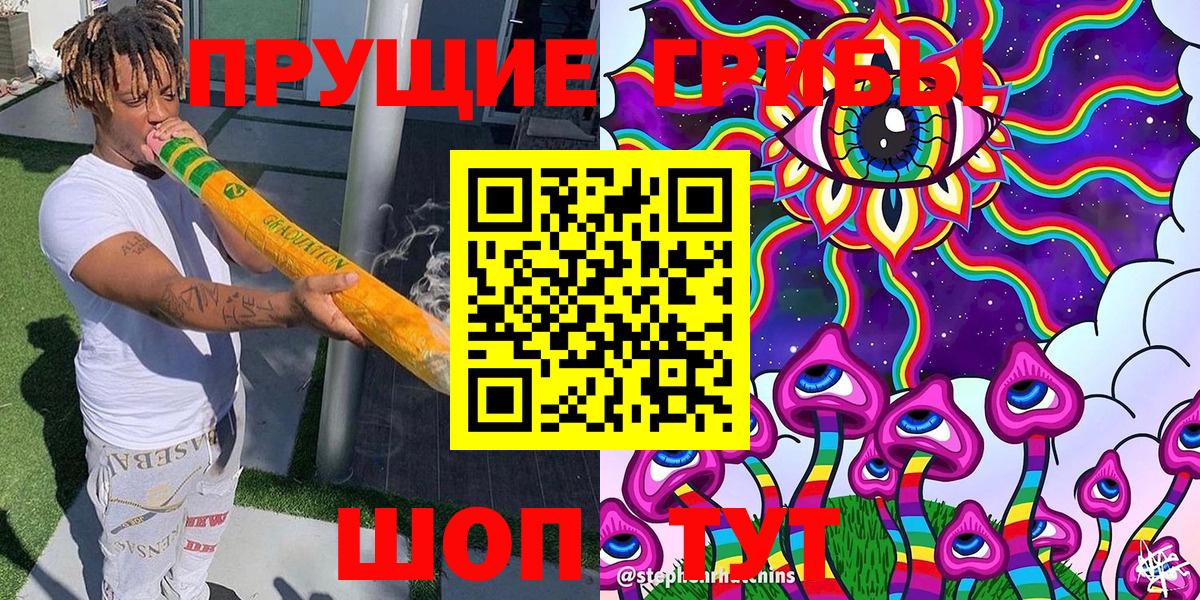 Псилоцибиновые грибы Cubensis  купить   Новотроицк 