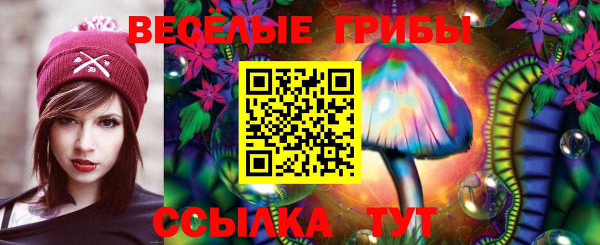 Новотроицк  Псилоцибиновые грибы GOLDEN TEACHER  Вход с VPN 