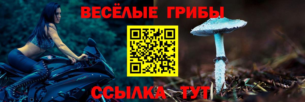 Псилоцибиновые грибы мухоморы Новотроицк